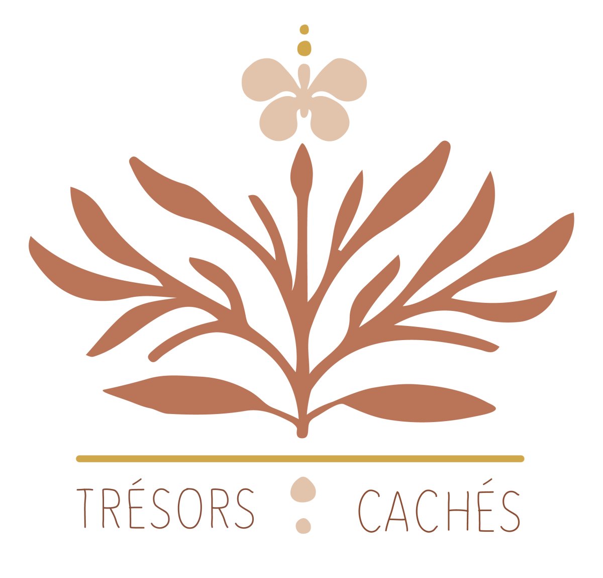 Trésors cachés